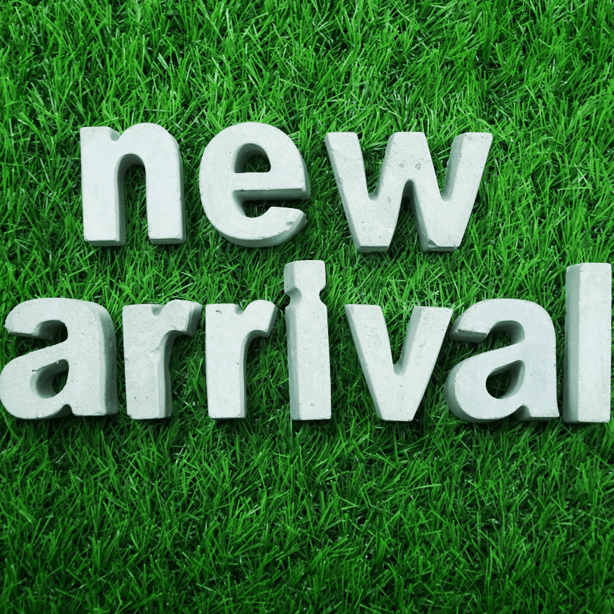 new arrival